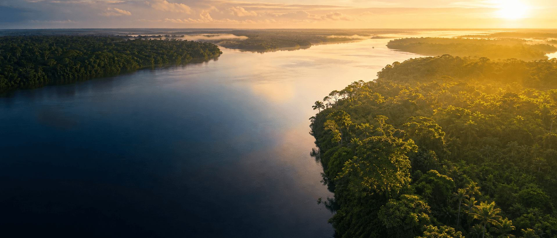 Região do Amazonas atendida pela W Net